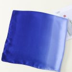 Ombre Scarf Printed Silk Scarf – view 3